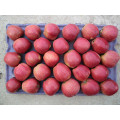 2015 New Fresh Red Star Apple